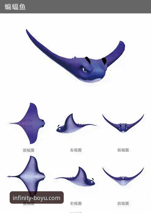 博鱼安卓版使用指南 博鱼安卓版使用指南全面解析:从下载到畅玩的完整操作手册